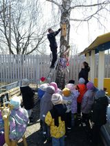 Домик для скворцов. средняя группа