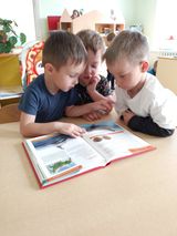 рассматривание красной книги